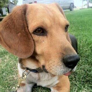 Meet your Posher, Jacqueline